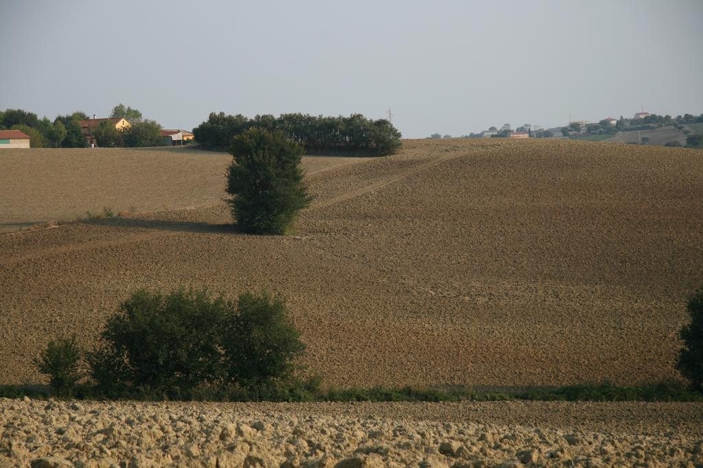 Il Campetto Country House Senigallia Esterno foto